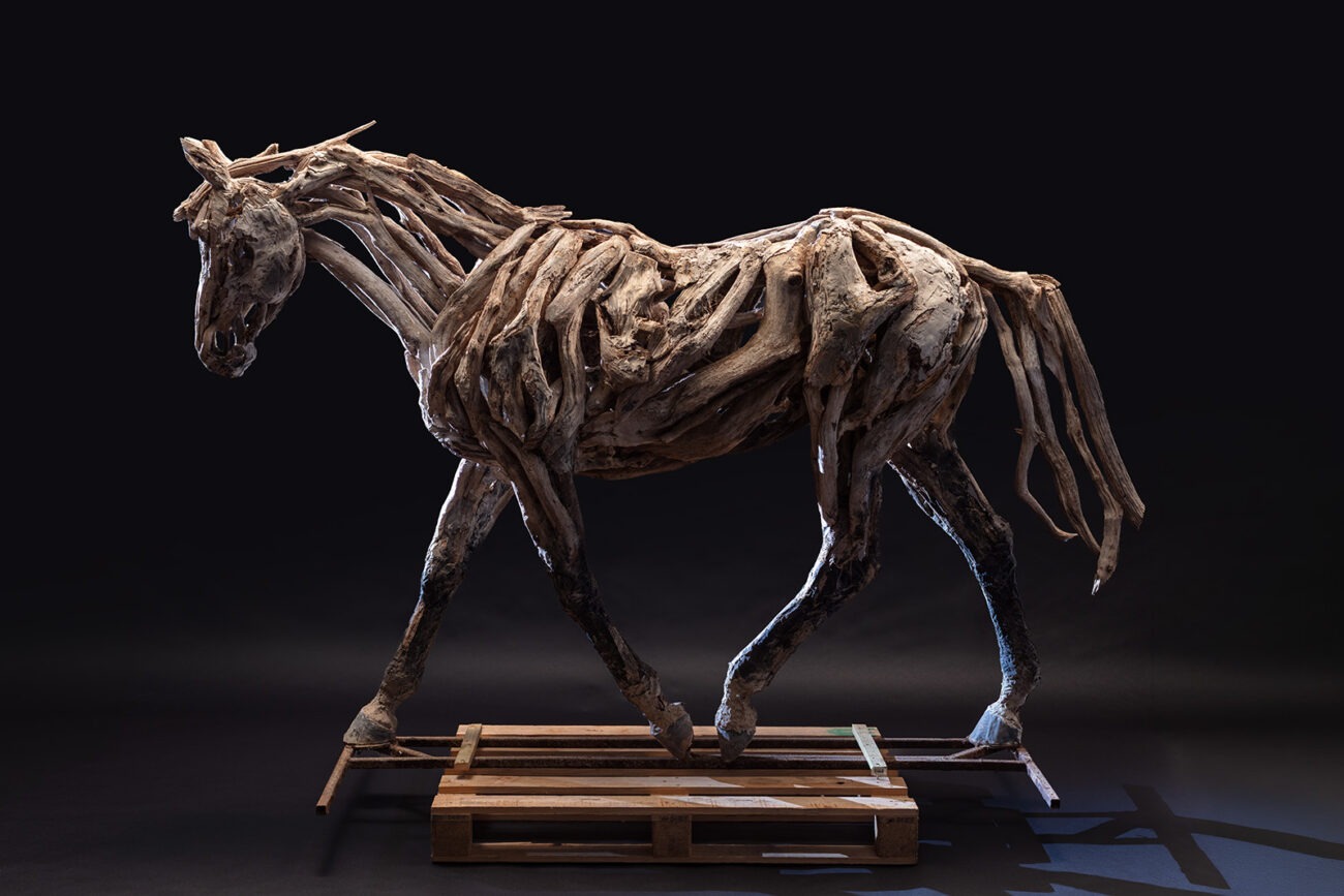 Paloma by Heather Jansch