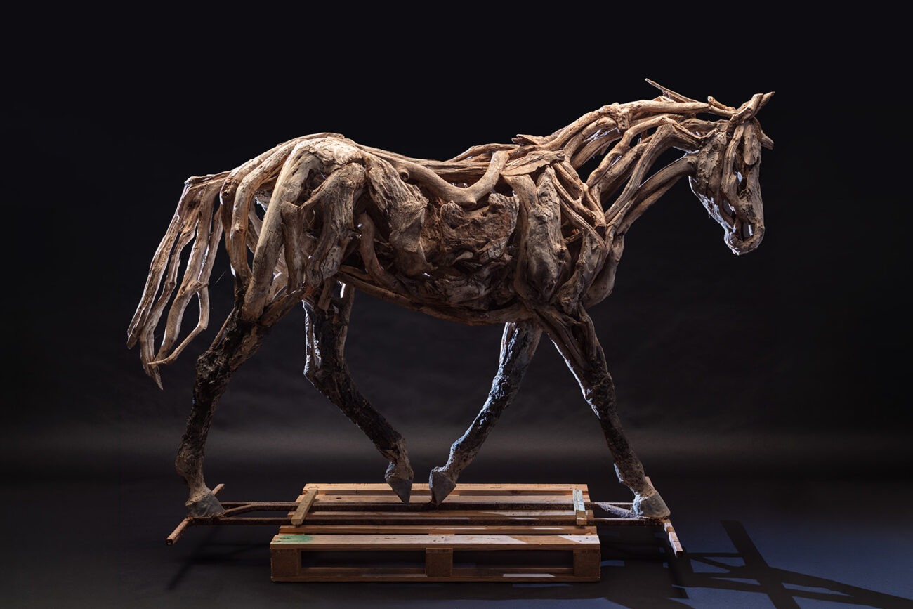 Paloma by Heather Jansch